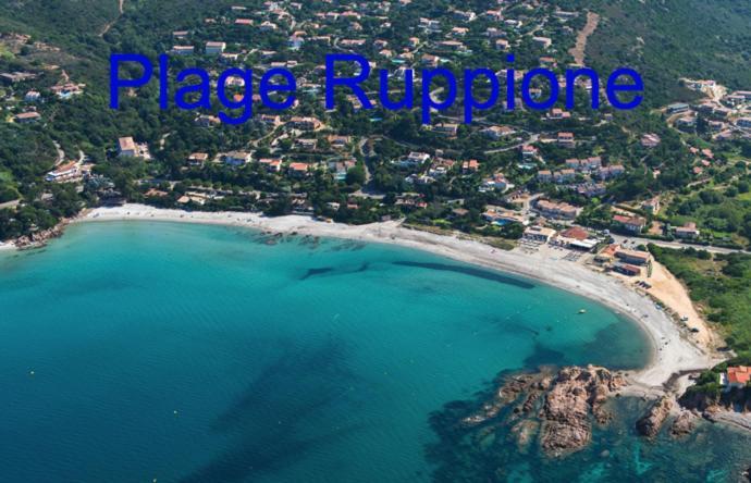 Vue Mer Panoramique Plage 50M Porticcio Corse מראה חיצוני תמונה
